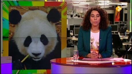 NOS Weekoverzicht Jeugdjournaal